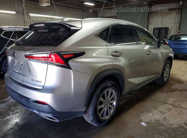 JTJDARDZXM2248212 2021 LEXUS NX Silver Задня права чверть