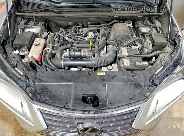 JTJDARDZXM2248212 2021 LEXUS NX Silver Вид задньої частини салону