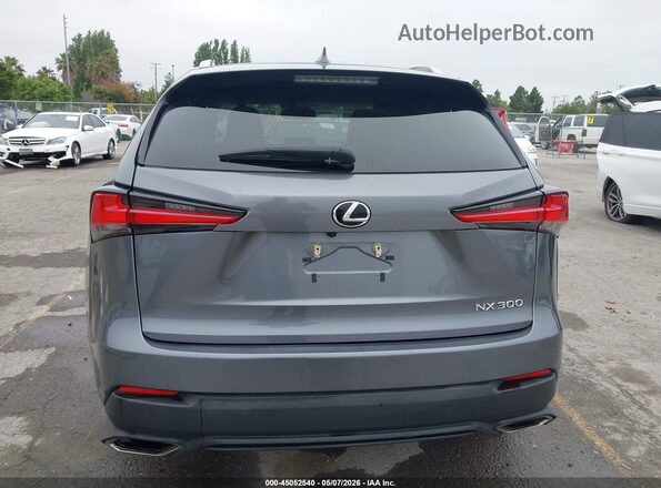 JTJDARDZXM2253278 2021 LEXUS NX 300 Gray 