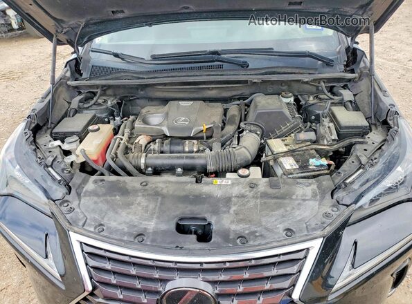 JTJGARBZ0M2185136 2021 LEXUS NX Black Շարժիչի բաժամունքի տեսք