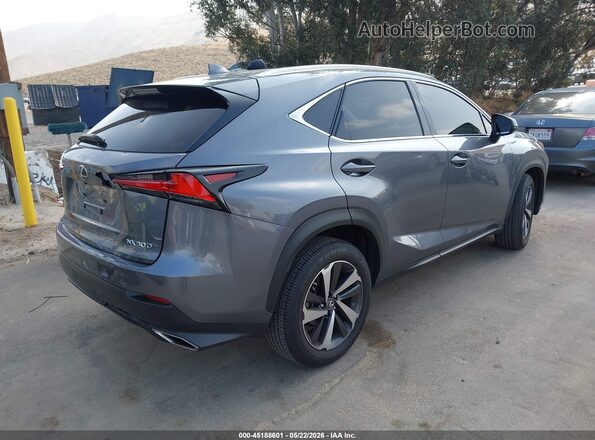 JTJGARBZ2M2186546 2021 LEXUS NX 300 Gray უკანა მარჯვენა