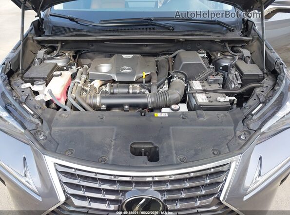 JTJGARBZ2M2186546 2021 LEXUS NX 300 Gray უკანა ხედი