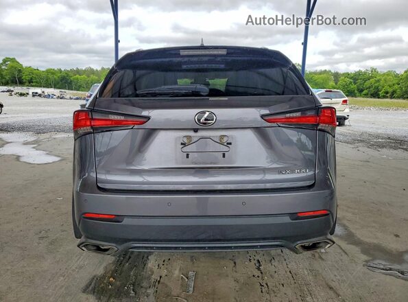 JTJGARDZ1M2245955 2021 LEXUS NX Серый 