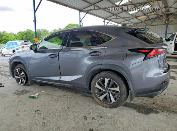 JTJGARDZ1M2245955 2021 LEXUS NX Серый 