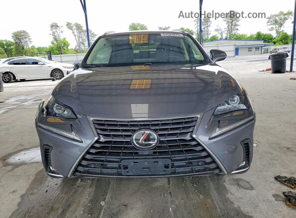 JTJGARDZ1M2245955 2021 LEXUS NX Серый 