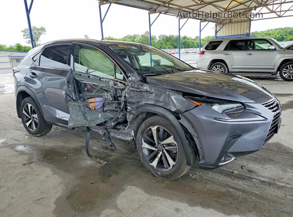 JTJGARDZ1M2245955 2021 LEXUS NX Серый 