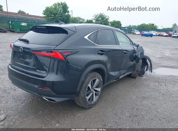 JTJGARDZ1M5031403 2021 LEXUS NX 300 Black Задня права чверть