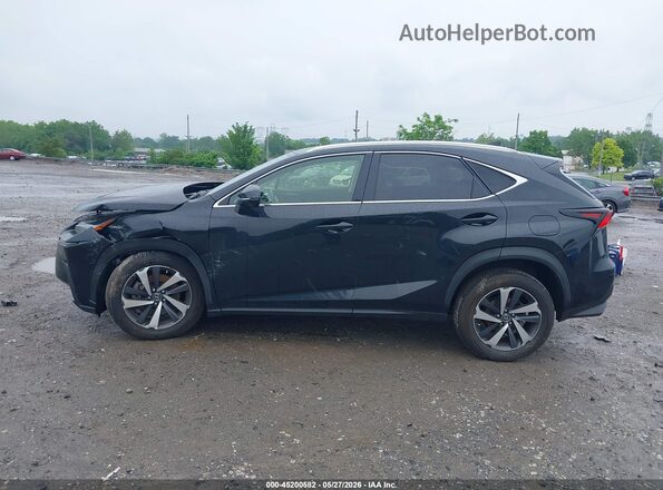 JTJGARDZ1M5031403 2021 LEXUS NX 300 Black Вид задньої частини салону