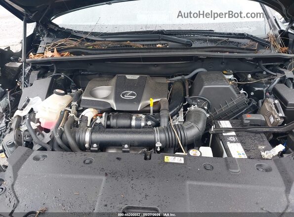 JTJGARDZ1M5031403 2021 LEXUS NX 300 Black Вид ззаду