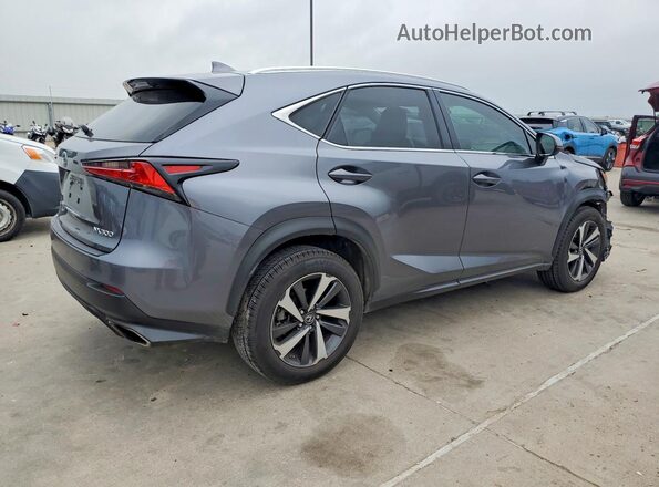 JTJGARDZ6M2236779 2021 LEXUS NX Gray 