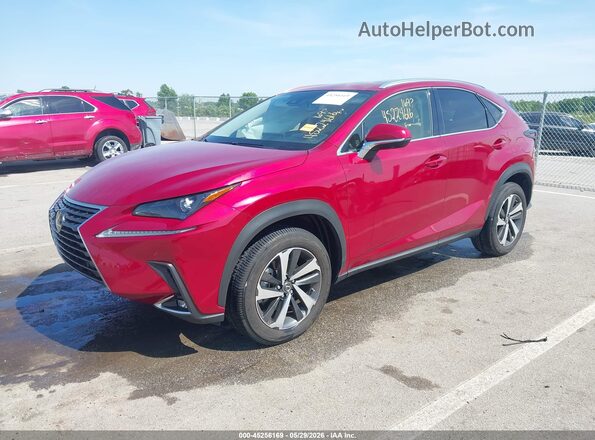 JTJGARDZ8M5029082 2021 LEXUS NX 300 Red Vista tres cuartos delantera izquierda