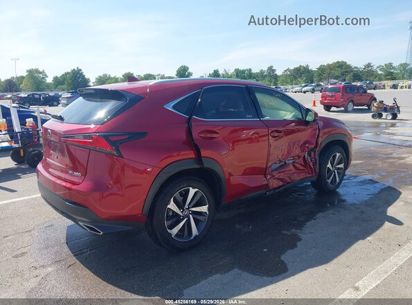 JTJGARDZ8M5029082 2021 LEXUS NX 300 Red Trasero derecho