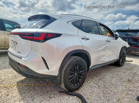 JTJGDCAZ2N5000719 2022 LEXUS NX White Задня права чверть