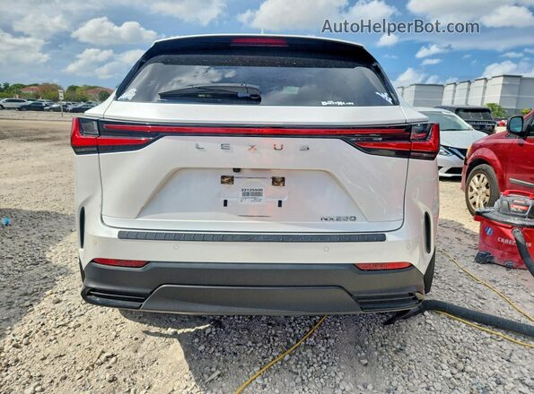 JTJGDCAZ2N5000719 2022 LEXUS NX White Вид ззаду