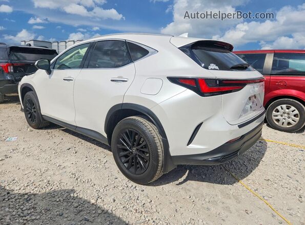 JTJGDCAZ2N5000719 2022 LEXUS NX White Задня ліва чверть