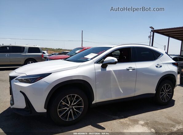 JTJGDCAZ5R5017522 2024 LEXUS NX 250 White Սալոնի 360 աստիճան տեսք