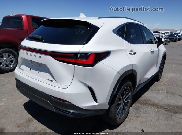 JTJGDCAZ5R5017522 2024 LEXUS NX 250 White Հետևի աջ