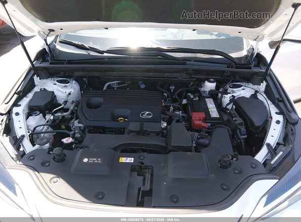 JTJGDCAZ5R5017522 2024 LEXUS NX 250 White Հետևի տեսք