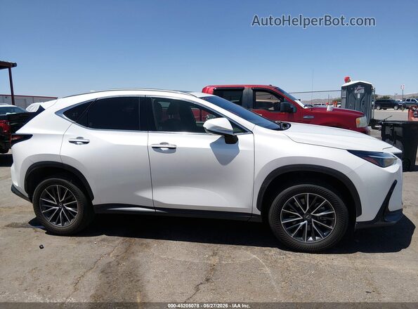 JTJGDCAZ5R5017522 2024 LEXUS NX 250 White Սալոնի հետևի տեսք