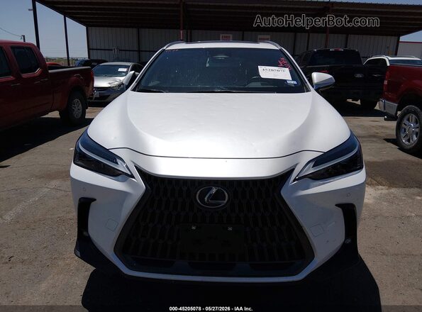 JTJGDCAZ5R5017522 2024 LEXUS NX 250 White Սարքավորումների վահանակի տեսք