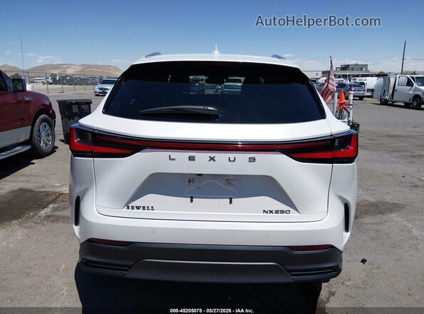 JTJGDCAZ5R5017522 2024 LEXUS NX 250 White 
