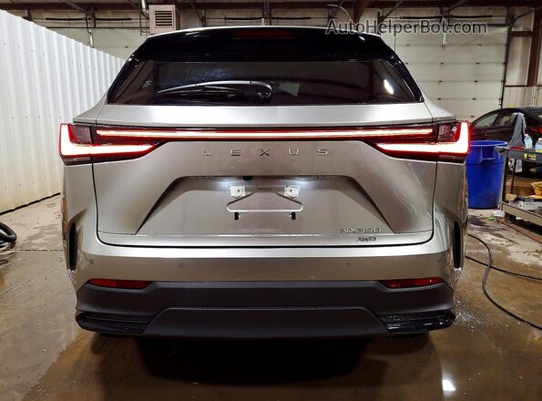 JTJGGCEZ7N5003360 2022 LEXUS NX Gray Widok z tyłu