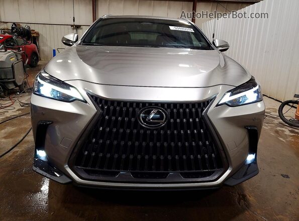 JTJGGCEZ7N5003360 2022 LEXUS NX Gray Widok z przodu