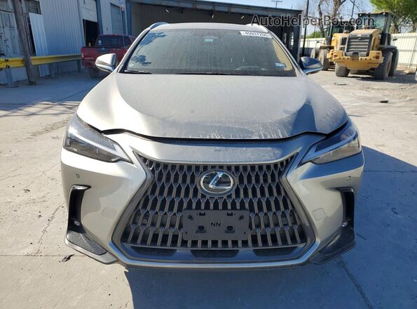 JTJGKCEZ1R5020160 2024 LEXUS NX Silver Դիմացի տեսք