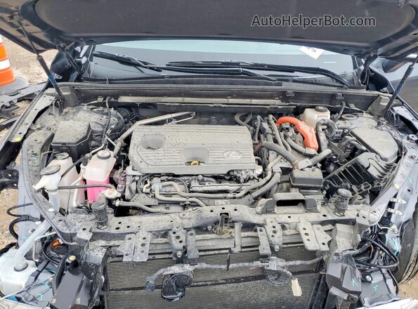 JTJGKCEZ2S5035305 2025 LEXUS NX Black Սալոնի հետևի տեսք