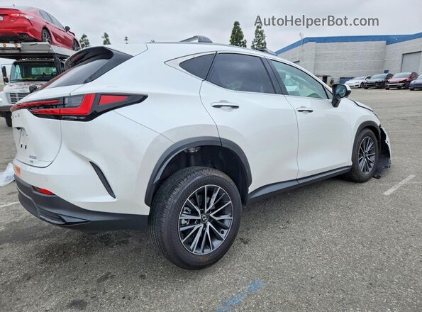JTJGKCEZ4R5017267 2024 LEXUS NX White Задня права чверть