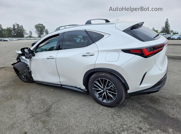 JTJGKCEZ4R5017267 2024 LEXUS NX White Задня ліва чверть