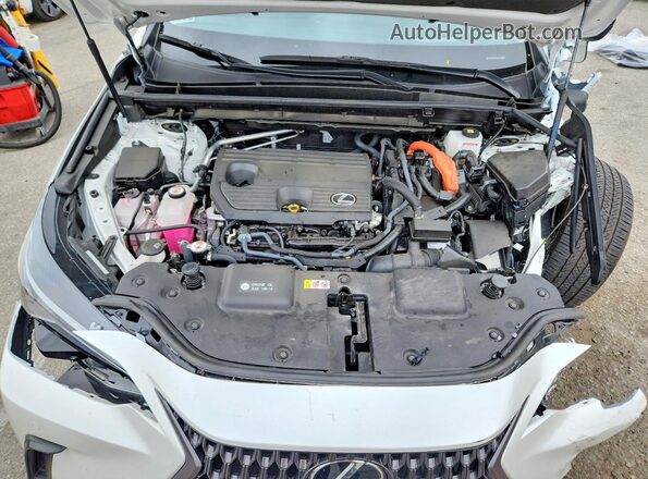 JTJGKCEZ4R5017267 2024 LEXUS NX White Вид задньої частини салону