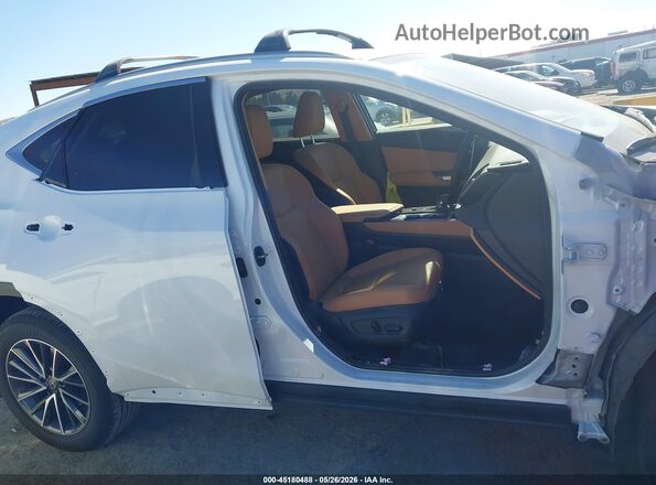 JTJGKCEZ4T5042001 2026 LEXUS NX 350H White Սալոնի 360 աստիճան տեսք