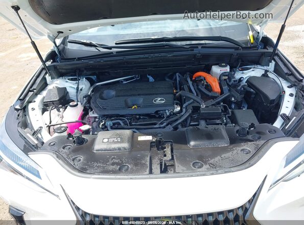 JTJGKCEZXR5021422 2024 LEXUS NX 350H White უკანა ხედი