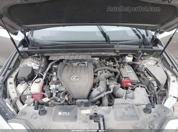 JTJHGCEZ0N5000594 2022 LEXUS NX 350 Pewter უკანა ხედი