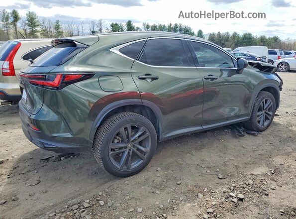 JTJHKCFZ3P2017570 2023 LEXUS NX Green 