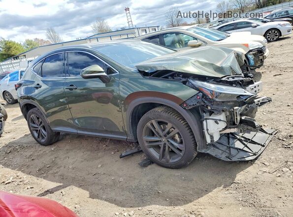 JTJHKCFZ3P2017570 2023 LEXUS NX Green 