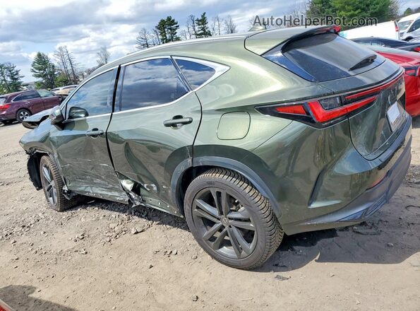 JTJHKCFZ3P2017570 2023 LEXUS NX Green 