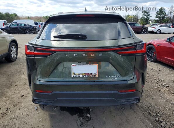 JTJHKCFZ3P2017570 2023 LEXUS NX Green 