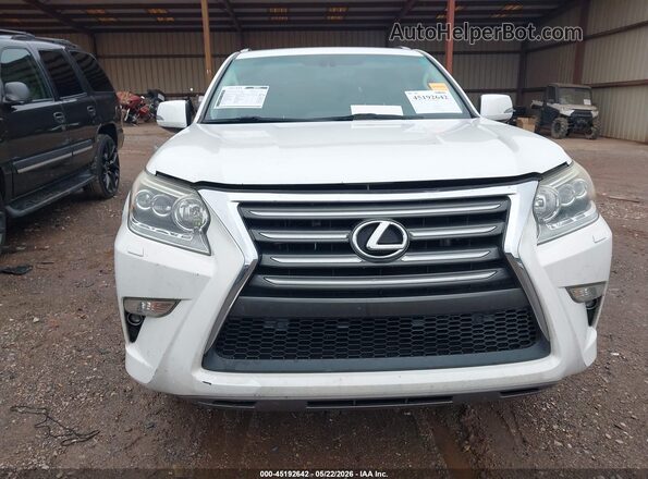 JTJJM7FX5G5124894 2016 LEXUS GX 460 White Вид задньої частини салону