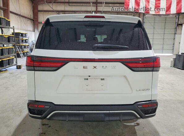JTJMB7CX2P4031134 2023 LEXUS LX White Հետևի տեսք