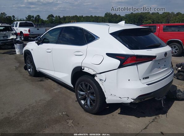 JTJSARBZ1L5001118 2020 LEXUS NX 300 White Rear left