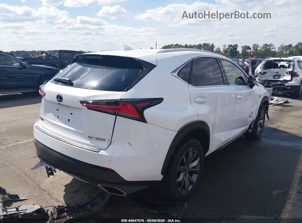 JTJSARBZ1L5001118 2020 LEXUS NX 300 White Rear right