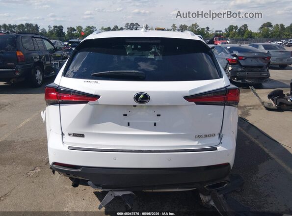 JTJSARBZ1L5001118 2020 LEXUS NX 300 White 