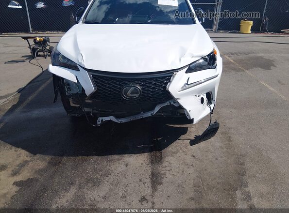 JTJSARBZ1L5001118 2020 LEXUS NX 300 White Front view