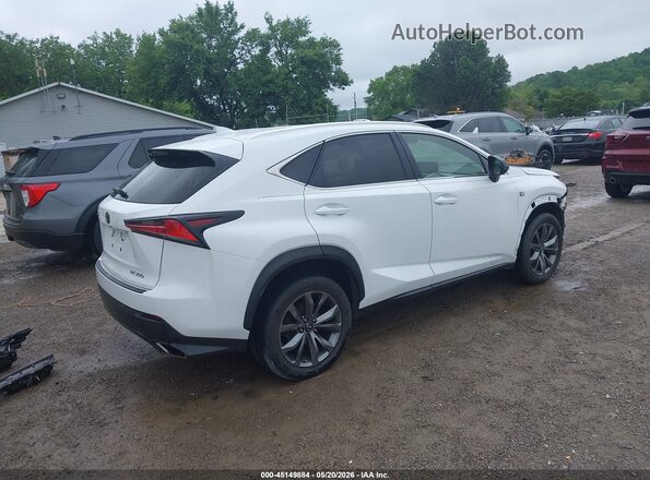 JTJSARBZ2M5024232 2021 LEXUS NX 300 White Tył prawy
