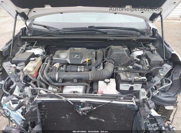 JTJSARBZ2M5024232 2021 LEXUS NX 300 White Widok z tyłu