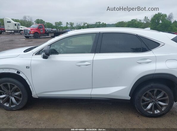 JTJSARBZ2M5024232 2021 LEXUS NX 300 White 