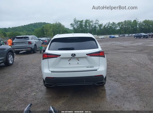 JTJSARBZ2M5024232 2021 LEXUS NX 300 White 