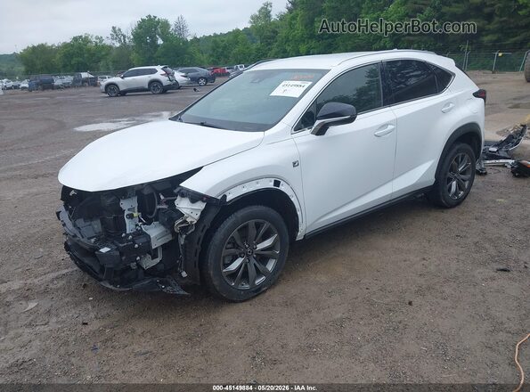 JTJSARBZ2M5024232 2021 LEXUS NX 300 White Przód lewy